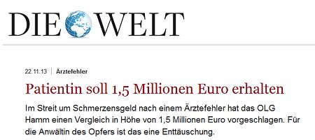 Bericht in der Tageszeitung 'Die Welt' vom 22.11.2013